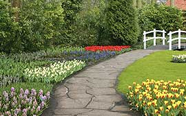 Professional planting and removal services for enhancing landscapes